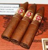 Cygaro A.Turrent 6-th Generation Petit Torpedo